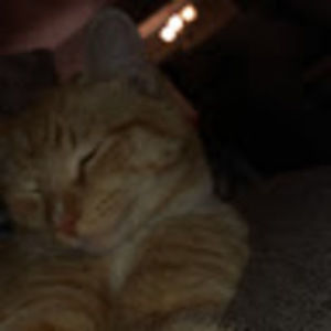 Meet your Posher, Fwtx.